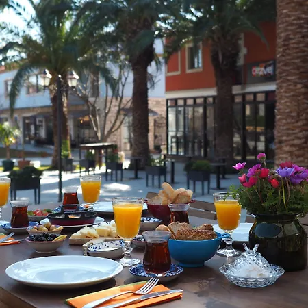 Ekmas אלאקאטי